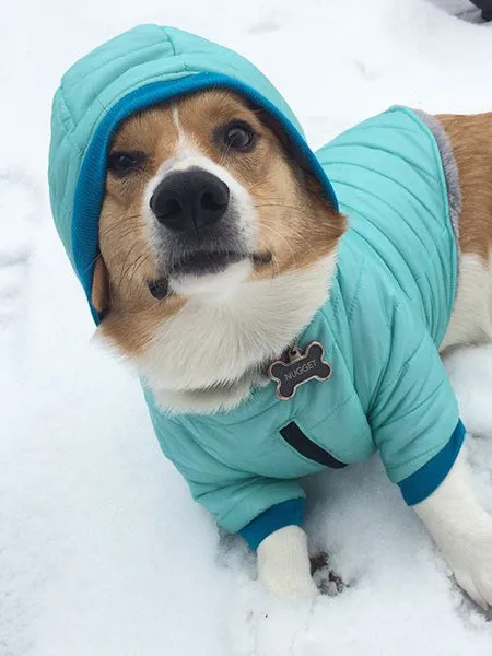 Bark in the Parka: Customizable Dog Winter Coats