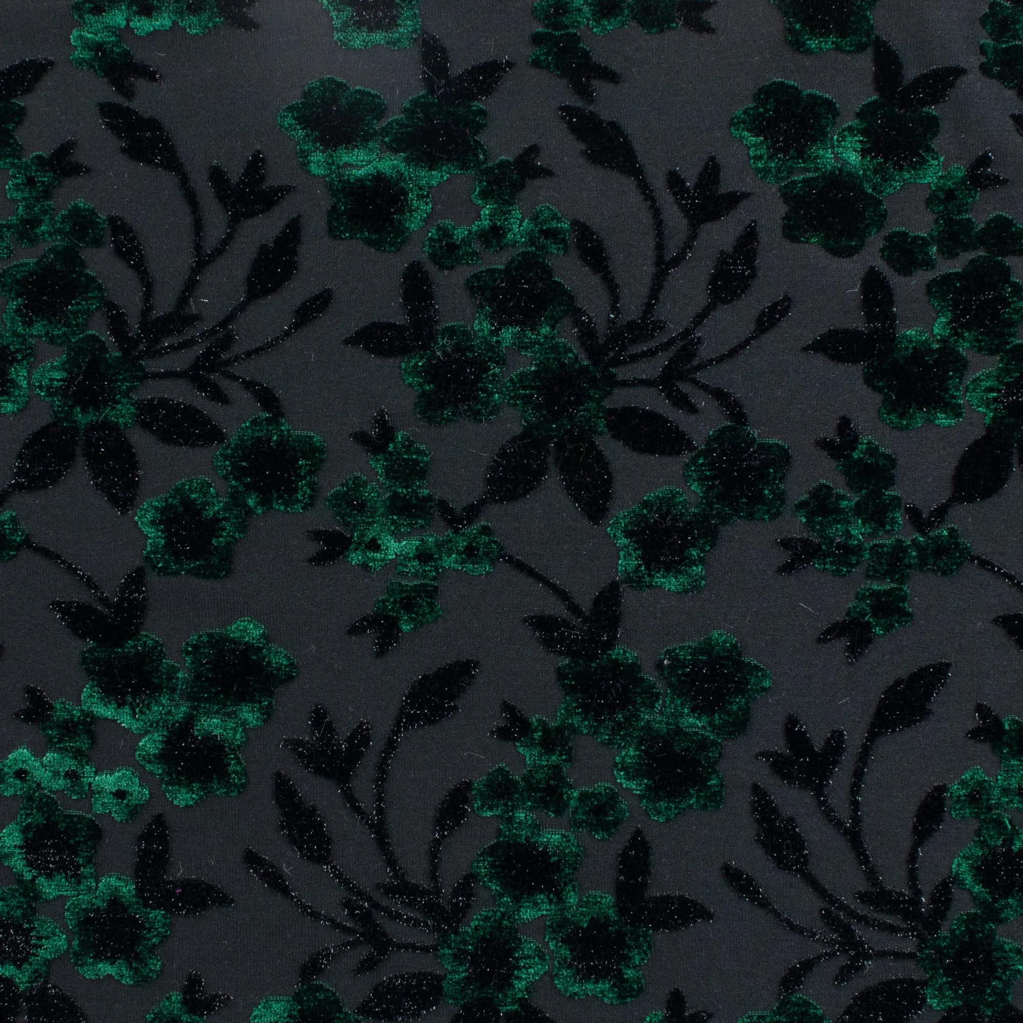 Burnout Velvet - ANTOINETTE - 003 - Dark Green