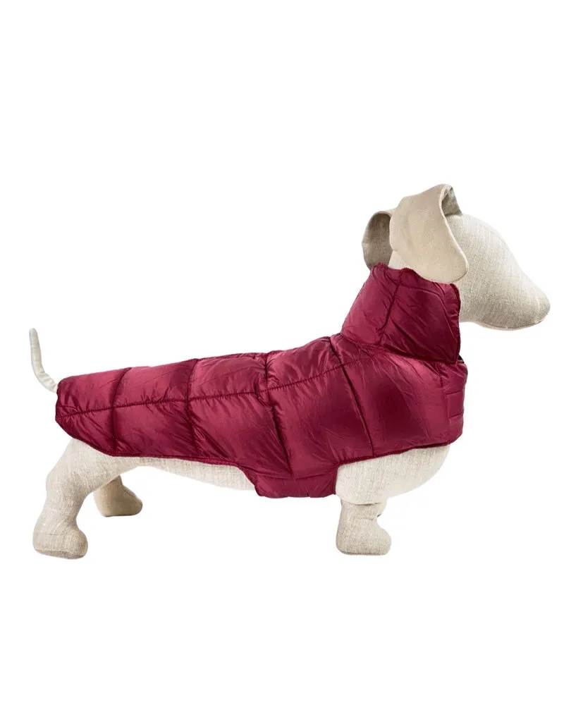 Ultralite Reversible Down Dog Puffer Coat in Navy Blue & Merlot